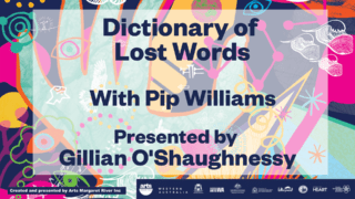 Dictionary of lost words